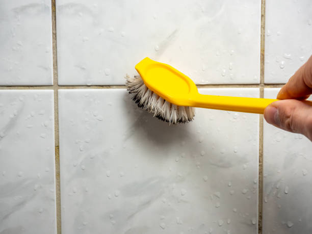 Best Water Damage Restoration  in South Riding, VA