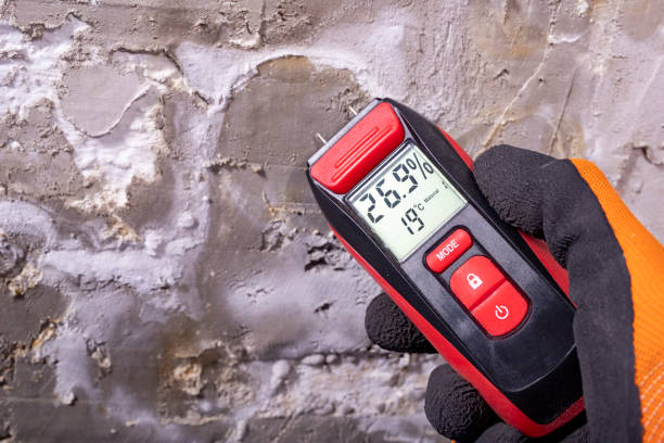 Best Residential Mold Removal  in South Riding, VA