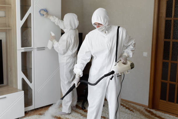 Best Toxic Mold Removal  in South Riding, VA