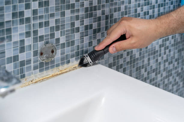 Professional Mold Removal in South Riding, VA