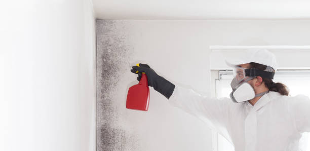Water Damage Restoration in South Riding, VA